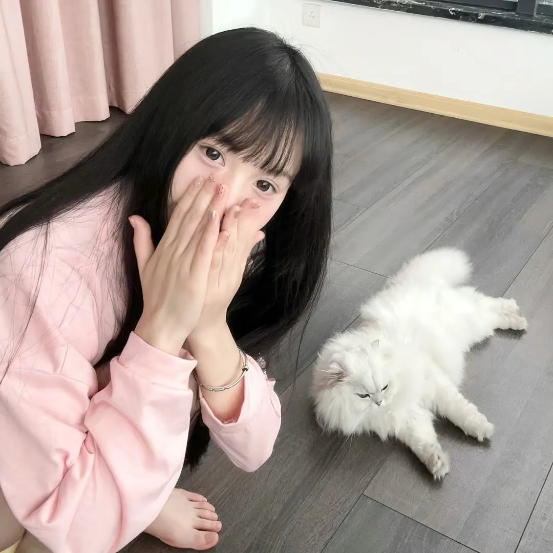 阿穆的生存之道